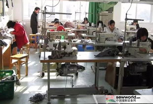 针线交织的江湖——服装加工厂的那些人和事
