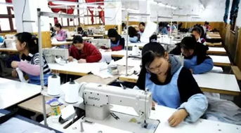 从小作坊到制造业巨头 服装加工厂的成长之路